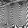 No Name. - Zebra Illusion